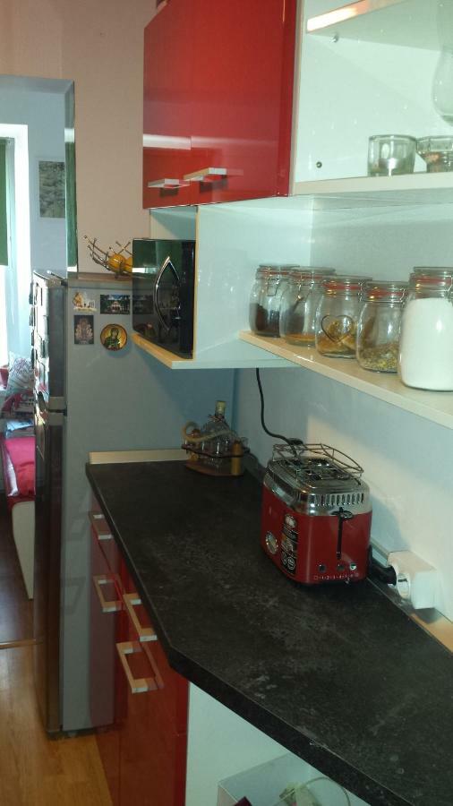 Apartament Sfanta Ecaterina - Garsoniera Alba Iulia Zewnętrze zdjęcie